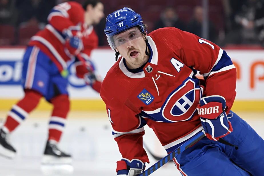 Brendan Gallagher is a baboon according to what circulates …